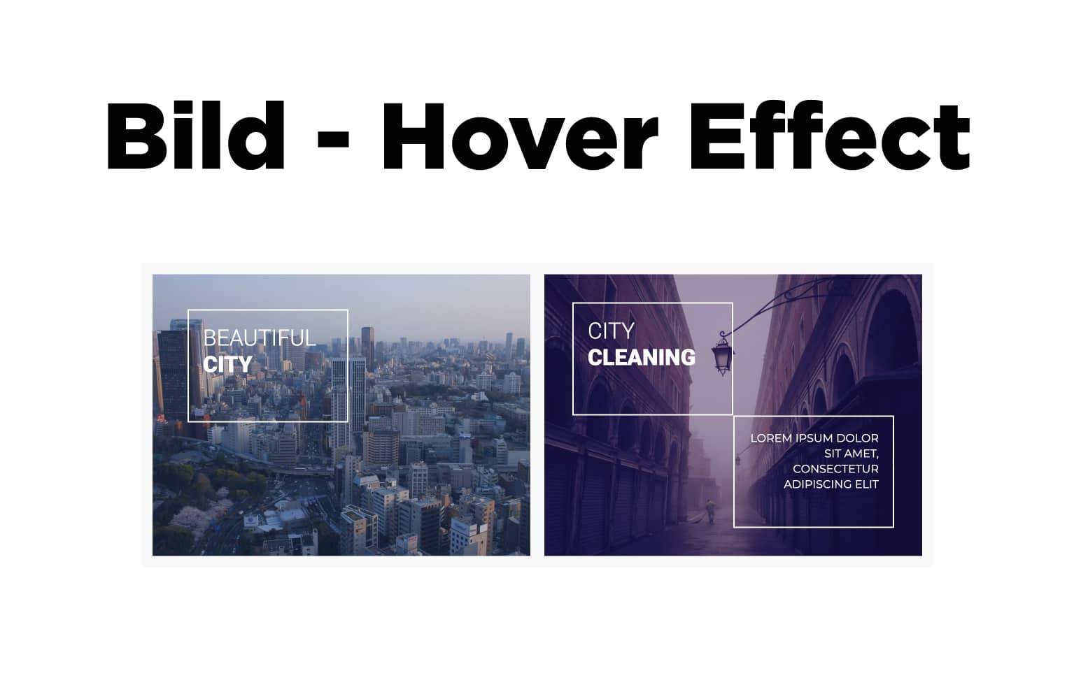 TYPORY Cloud - Bild - Hover Effect